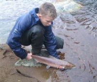 Draperstown angler Michael O'Kane returns a fine hen salmon to the Moyola.