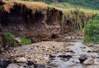 Farmers will get paid to stop river bank erosion like this along their land.