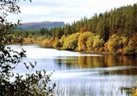 The lakes at Navar Forest