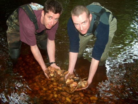 Moyola anglers Seamus Donnelly and Ciaran Bradley with rotting potatoes which extract oxygen from the river.