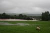 The massive flood of 2008, August 16 at Mulnavoo. picture - Michael McGlade