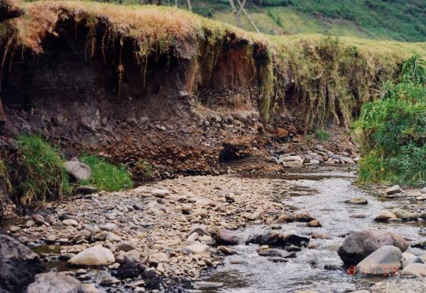 Farmers will get paid to stop river bank erosion like this along their land.