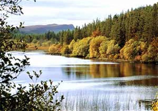 The lakes at Navar Forest